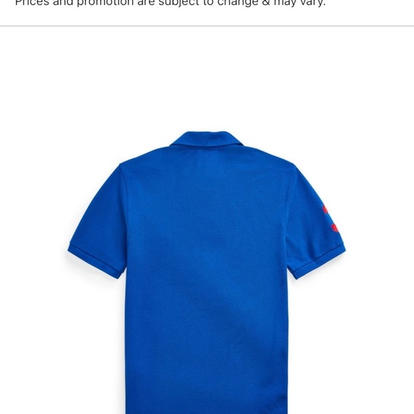 Polo Ralph Lauren Classic Fit Mesh Polo Shirt - Picture 2 of 2